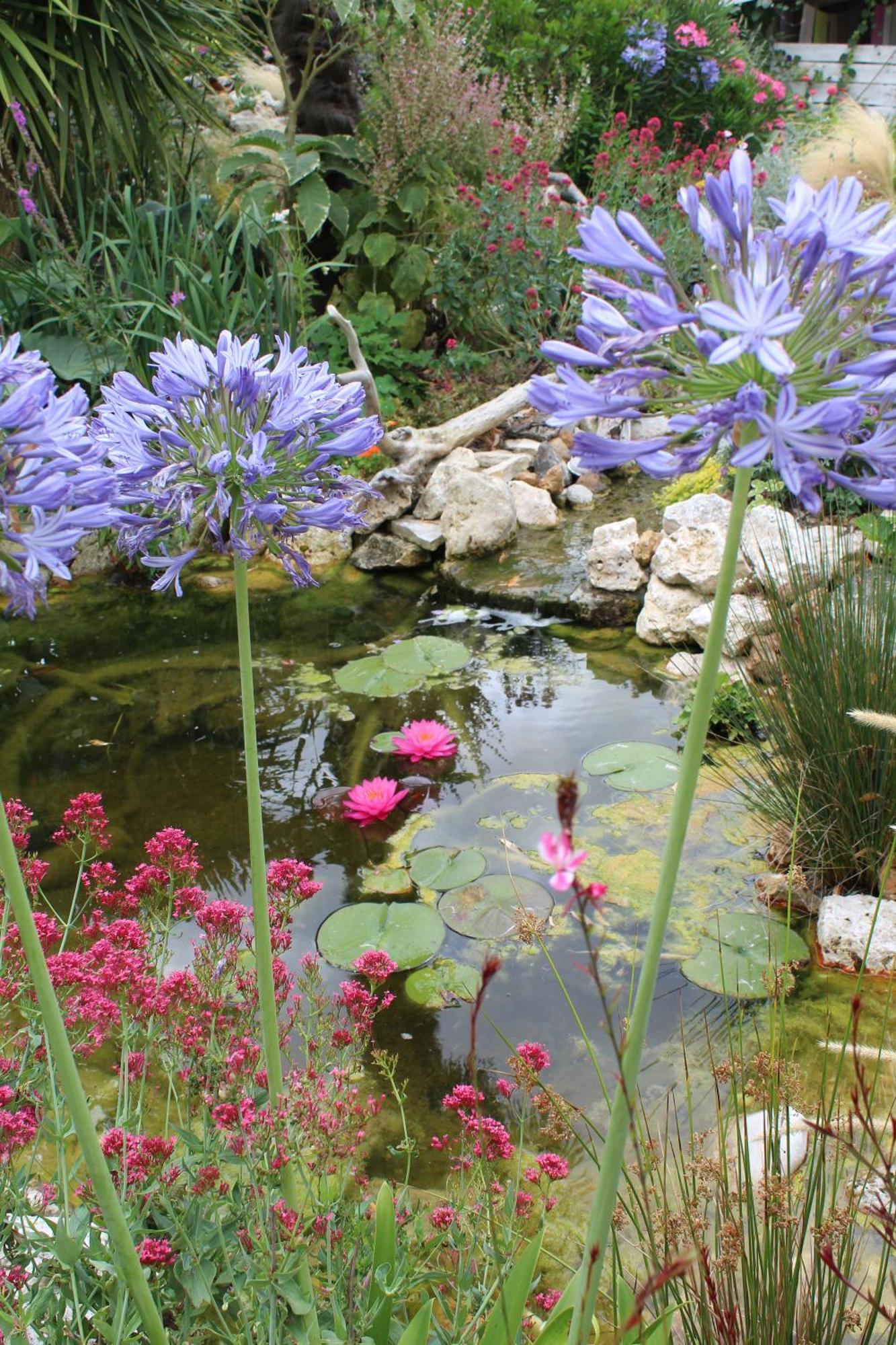مبيت وإفطار Mérignac La Douce Charentaise المظهر الخارجي الصورة